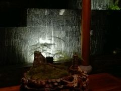 -唐风温泉