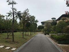 -太湖饭店玉兰厅(自助餐厅)