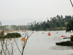 -枫香湖儿童公园