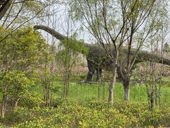 -自然谷恐龙园