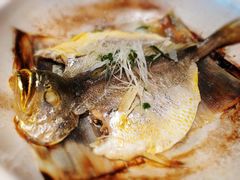 砂锅煲黄花鱼-鱼乐轩·俄罗斯海鲜直供餐厅(群力店)