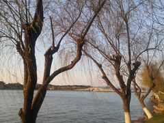 -东钱湖旅游度假区