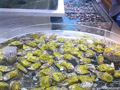 -聚盛源蒸汽海鲜火锅烤肉自助(巨川金海岸购物广场店)