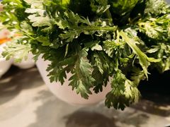 -享月汤皇(高新区店)