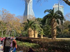 -人民公园-相亲角