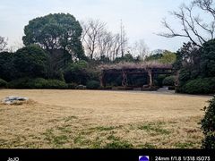-桃花岛景观公园