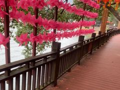 -石燕湖生态旅游景区