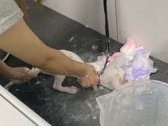 -中农大我爱我爱动物医院·核磁CT·猫病·24小时夜诊中心(石佛营店)