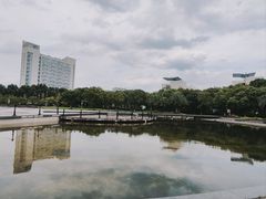 -上海第二工业大学(金海路校区)