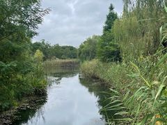 -昆山城市生态森林公园