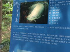 -青青世界