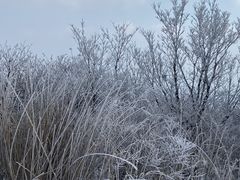-湖州龙王山景区