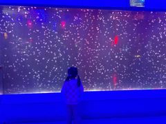 -太平洋海底世界