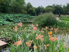 -西溪国家湿地公园