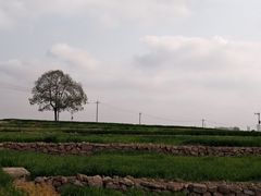 -三圣花乡旅游区