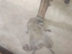 -泉州海丝野生动物世界