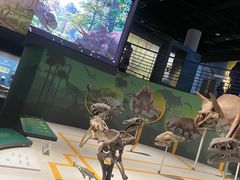 -国家自然博物馆