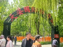 -太阳宫公园