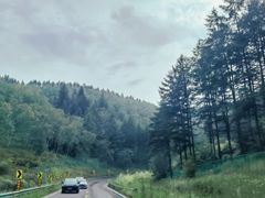 -塞罕坝国家级自然保护区