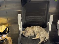 -神盾局科技密室(永川万达广场店)