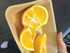 -尚庄度假村·庭台树下·户外烧烤·团建CS·轰趴营地(上庄水库店)