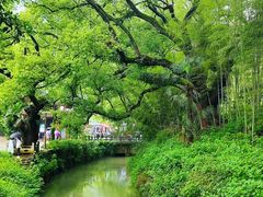 -古堰画乡景区