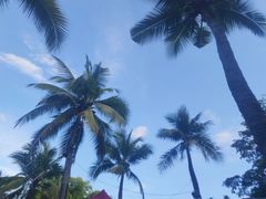 -三亚海棠湾南田温泉神龙谷