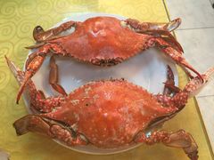 小铜锣湾海鲜家常菜-小铜锣湾海鲜家常菜馆(河西店)