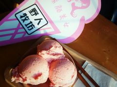 -野人牧坊Gelato(天津南开大悦城店)