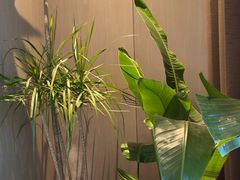 -翕间食·精致淮扬菜(江苏大剧院店)