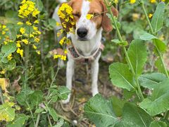 -中国天府农业博览园