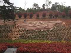 -中国西峡恐龙遗迹园
