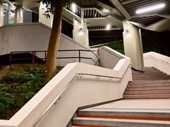 -香港大学