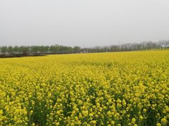 -兰陵国家农业公园