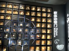 -中国湿地博物馆