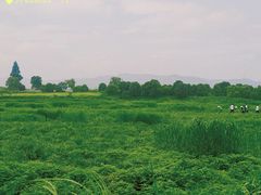 -良渚古城遗址公园