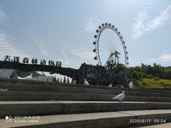 -大连森林动物园