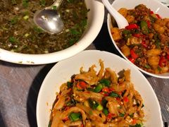 鸭掌筋-壹盏灯(惠农店)