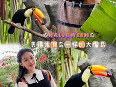 -灵玲国际马戏城