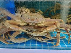 -本达人海鲜烧烤·朝鲜族风味(发展店)
