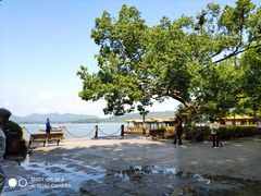 -西湖外事游船(湖滨二公园外事游船码头)