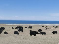 -青海湖国家重点风景名胜区