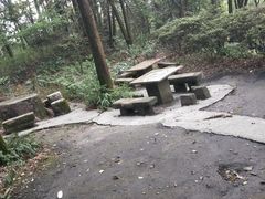 -大金鹰园