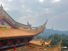 -东莞市大岭山森林公园