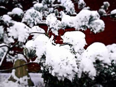 -汤阴县羑里周易博物馆