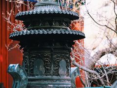 -国家植物园