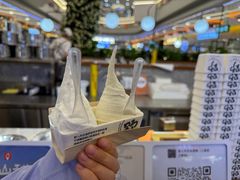 -野人先生Gelato(上海长宁龙之梦店)