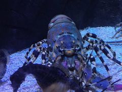 -成都浩海立方海洋公园