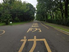 -福田红树林生态公园