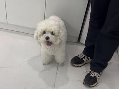 -纳吉亚猫专科动物诊疗中心(蒋宅口分院)